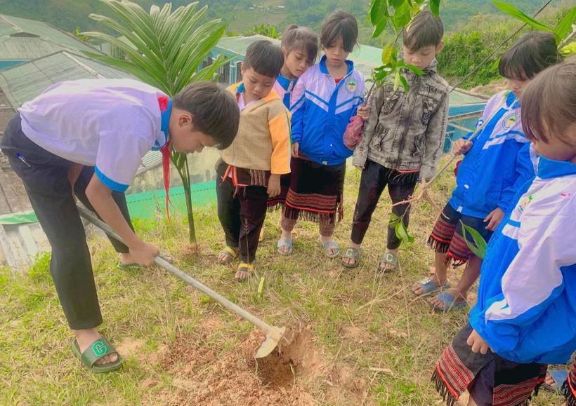 Học sinh Trường Phổ thông Dân tộc bán trú Tiểu học &amp; THCS Trà Nam (Nam Trà My, Quảng Nam) trồng cây dược liệu tại vườn trường. Ảnh: Hà Nguyên