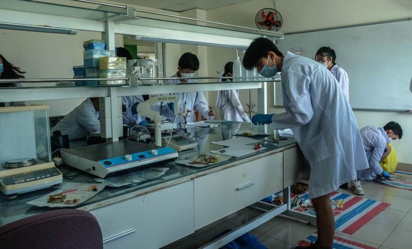 Học sinh tham gia khóa học STEM tại Viện Nghiên cứu và Đào tạo Việt - Anh đang phân tích mẫu và tiến hành thí nghiệm. Ảnh: VNUK cung cấp